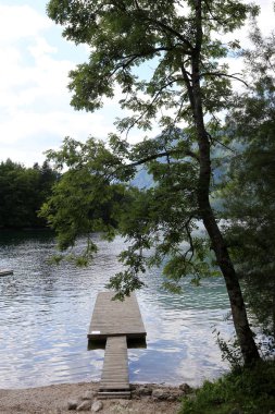 Alpler Slovenya Triglav Ulusal Parkı'nın eteklerinde bir dağ Gölü kıyısında 
