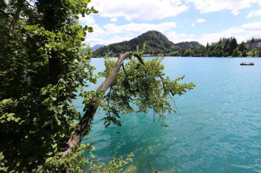 Alpler Slovenya Triglav Ulusal Parkı'nın eteklerinde bir dağ Gölü kıyısında 