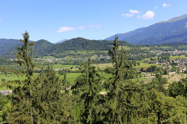 Břehu Horského Jezera Úpatí Alp Triglavském Národním Parku Slovinsku — Stock fotografie
