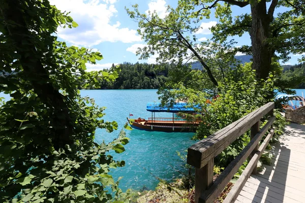 Egy Hegyi Lábánál Alpok Triglav Nemzeti Parkban Szlovéniában — Stock Fotó