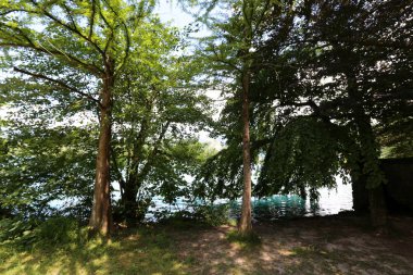 Alpler Slovenya Triglav Ulusal Parkı'nın eteklerinde bir dağ Gölü kıyısında 