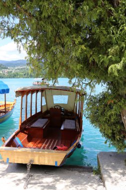 Alpler Slovenya Triglav Ulusal Parkı'nın eteklerinde bir dağ Gölü kıyısında 