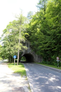 Alpler Slovenya Triglav Ulusal Parkı'nın eteklerinde bir dağ Gölü kıyısında 