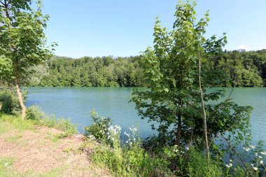 Alpler Slovenya Triglav Ulusal Parkı'nın eteklerinde bir dağ Gölü kıyısında 