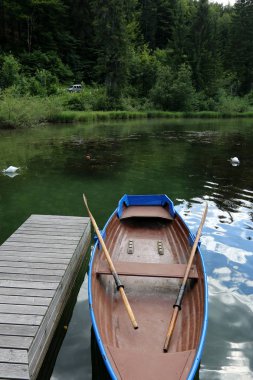 Alpler Slovenya Triglav Ulusal Parkı'nın eteklerinde bir dağ Gölü kıyısında 