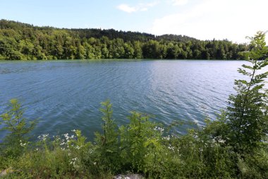 Alpler Slovenya Triglav Ulusal Parkı'nın eteklerinde bir dağ Gölü kıyısında 