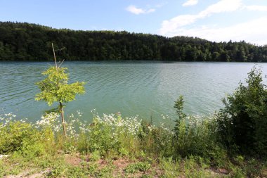 Alpler Slovenya Triglav Ulusal Parkı'nın eteklerinde bir dağ Gölü kıyısında 