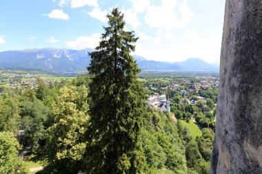 Alpler Slovenya Triglav Ulusal Parkı'nın eteklerinde bir dağ Gölü kıyısında 