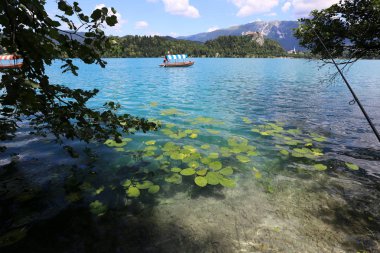 Alpler Slovenya Triglav Ulusal Parkı'nın eteklerinde bir dağ Gölü kıyısında 