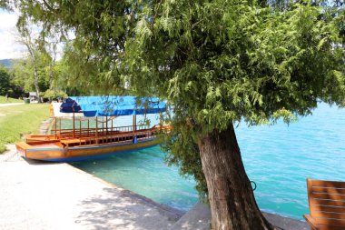 Alpler Slovenya Triglav Ulusal Parkı'nın eteklerinde bir dağ Gölü kıyısında 