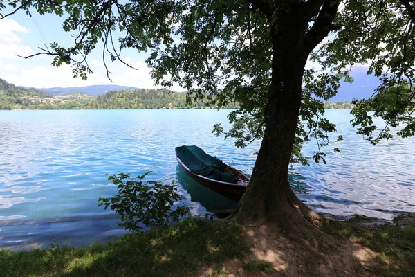 Alpler Slovenya Triglav Ulusal Parkı'nın eteklerinde bir dağ Gölü kıyısında 