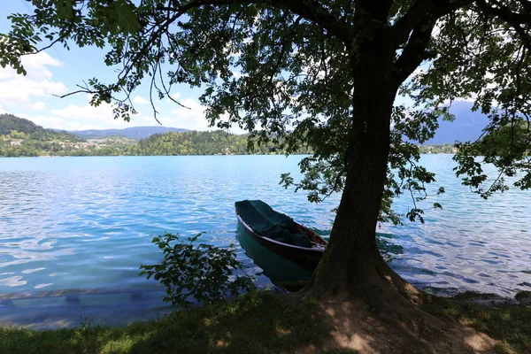 Alpler Slovenya Triglav Ulusal Parkı'nın eteklerinde bir dağ Gölü kıyısında 