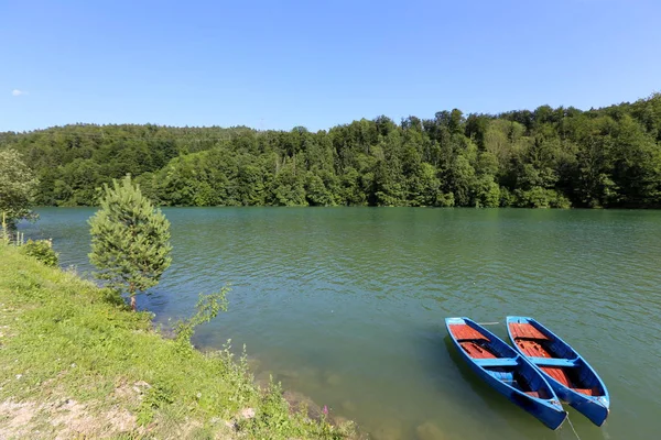 Egy Hegyi Lábánál Alpok Triglav Nemzeti Parkban Szlovéniában — Stock Fotó