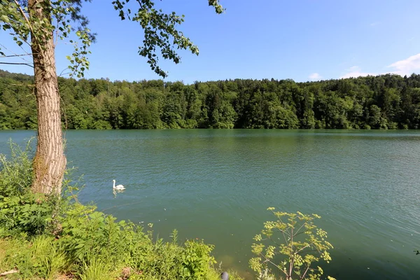 Rive Lac Montagne Pied Des Alpes Dans Parc National Triglav — Photo