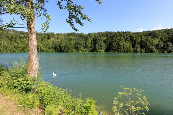 Rive Lac Montagne Pied Des Alpes Dans Parc National Triglav — Photo