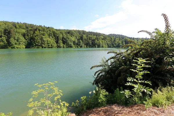 Rive Lac Montagne Pied Des Alpes Dans Parc National Triglav — Photo