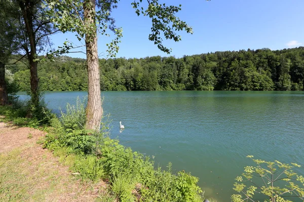 Rive Lac Montagne Pied Des Alpes Dans Parc National Triglav — Photo