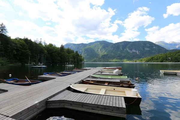 Alpler Slovenya Triglav Ulusal Parkı'nın eteklerinde bir dağ Gölü kıyısında 