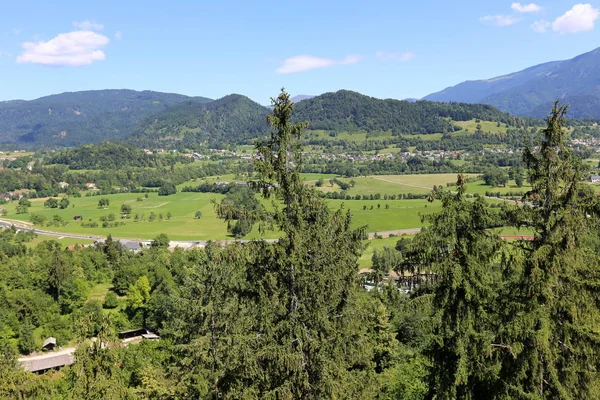 Alpler Slovenya Triglav Ulusal Parkı'nın eteklerinde bir dağ Gölü kıyısında 