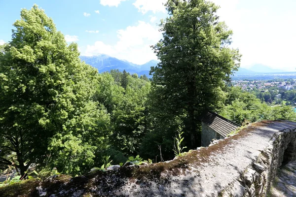 Ufer Eines Bergsees Fuße Der Alpen Slowenischen Nationalpark Triglav — Stockfoto