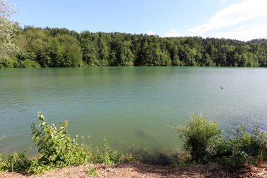 Alpler Slovenya Triglav Ulusal Parkı'nın eteklerinde bir dağ Gölü kıyısında 