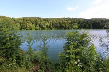 Alpler Slovenya Triglav Ulusal Parkı'nın eteklerinde bir dağ Gölü kıyısında 