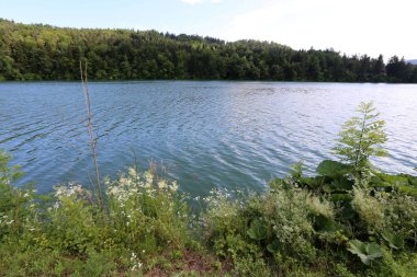 Alpler Slovenya Triglav Ulusal Parkı'nın eteklerinde bir dağ Gölü kıyısında 