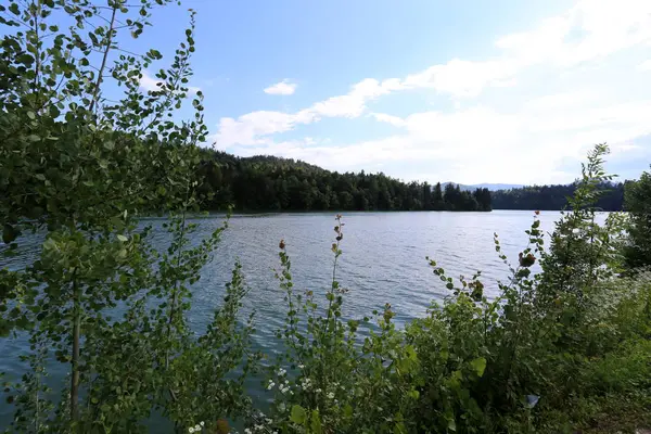 Rive Lac Montagne Pied Des Alpes Dans Parc National Triglav — Photo