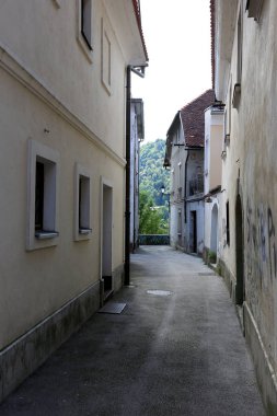 Ljubljana, Slovenya başkenti eteklerinde yürüyüş 
