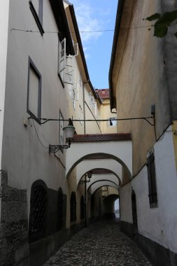 Ljubljana, Slovenya başkenti eteklerinde yürüyüş 