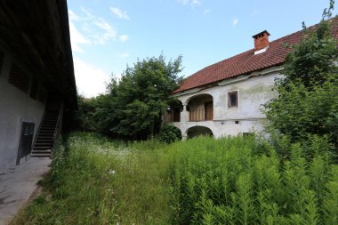 Ljubljana, Slovenya başkenti eteklerinde yürüyüş 