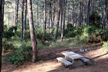 geri kalanı için bir Bank Kuzey İsrail'in açık bir parkta duruyor 