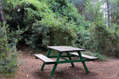 geri kalanı için bir Bank Kuzey İsrail'in açık bir parkta duruyor 