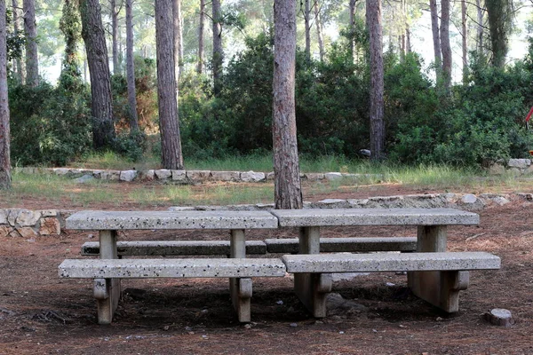 Ławki Odpoczynku Stoi Otwarty Park Północy Izraela — Zdjęcie stockowe