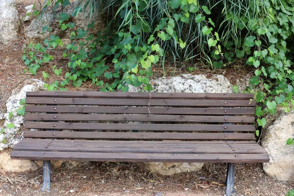 Banco Para Descanso Fica Parque Aberto Norte Israel — Fotografia de Stock