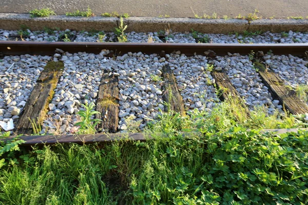 鉄道トラック ガイド レールと枕木道 — ストック写真