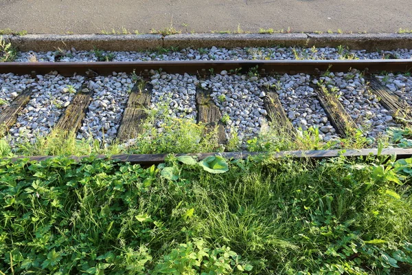 Vasúti Pálya Közúti Vezető Vasúti Pálya Talpfa — Stock Fotó