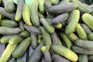 taze sebze Budapeşte şehir pazarda satılmaktadır 