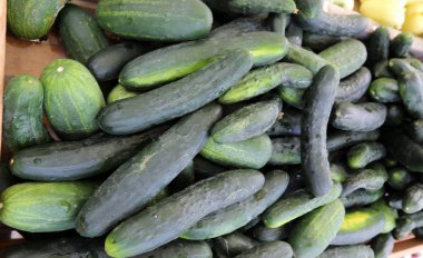 taze sebze Budapeşte şehir pazarda satılmaktadır 