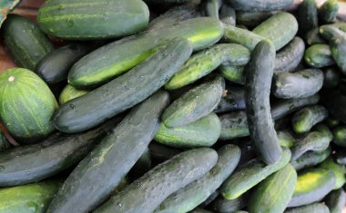 taze sebze Budapeşte şehir pazarda satılmaktadır 