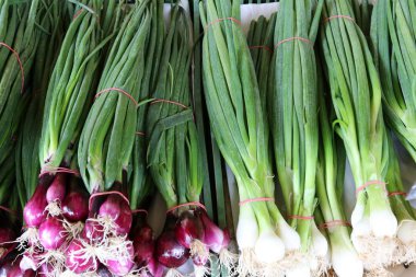 taze sebze Budapeşte şehir pazarda satılmaktadır 