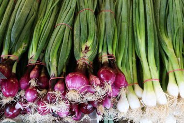 taze sebze Budapeşte şehir pazarda satılmaktadır 