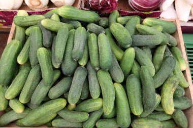 taze sebze Budapeşte şehir pazarda satılmaktadır 