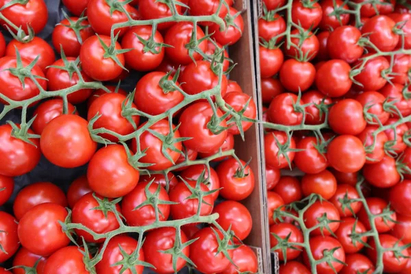 Verse Groenten Worden Verkocht Bazaar Stad Van Budapest — Stockfoto