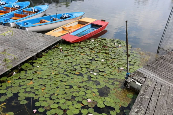 Poste Amarrage Sur Les Rives Danube Lieu Amarrage Pour Bateaux — Photo