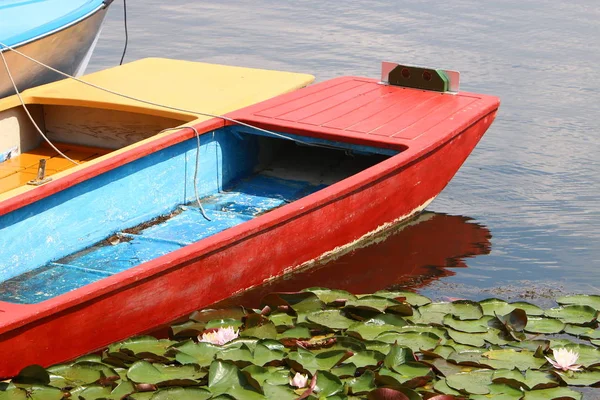 Amarradero Orillas Del Río Danubio Lugar Para Amarre Barcos Embarcaciones — Foto de Stock