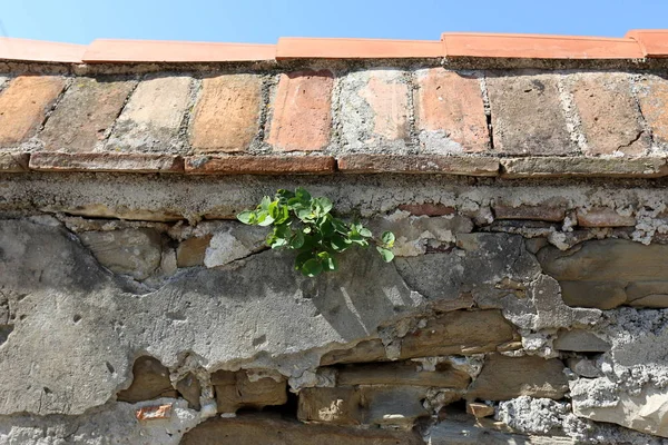 Festungsmauer Einer Alten Festung Aus Stein Und Beton — Stockfoto