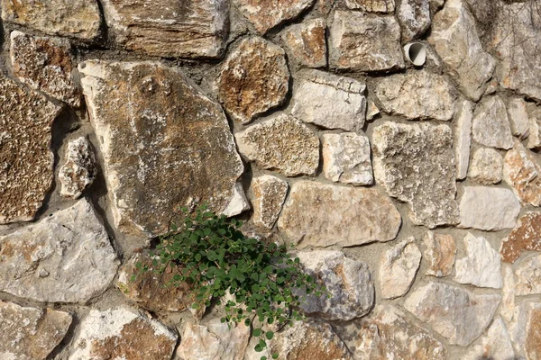 Ortress Falra Egy Ősi Vár Kőből Betonból — Stock Fotó
