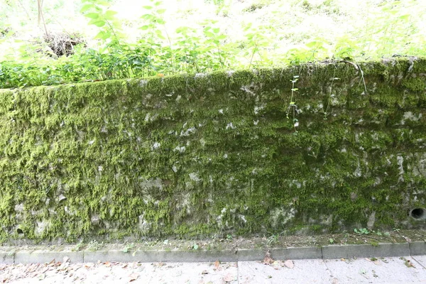 Festungsmauer Einer Alten Festung Aus Stein Und Beton — Stockfoto