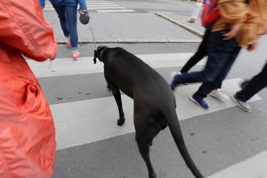 kaldırım-yayalar için bir yol, kaldırım sadece yayalar için; Araçların kaldırımlar boyunca hareketi yasaktır. 